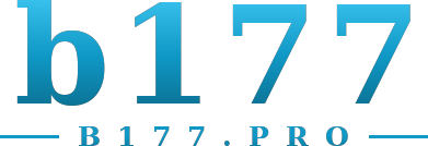 b177 logo